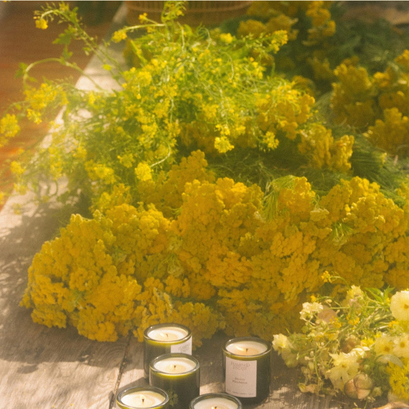Golden Pollinator Candle