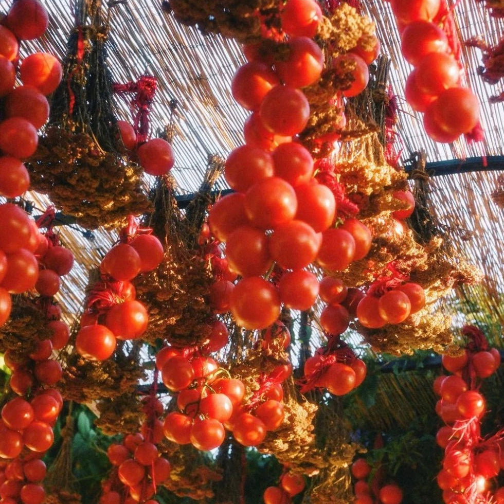 Roma Heirloom Tomato Candle