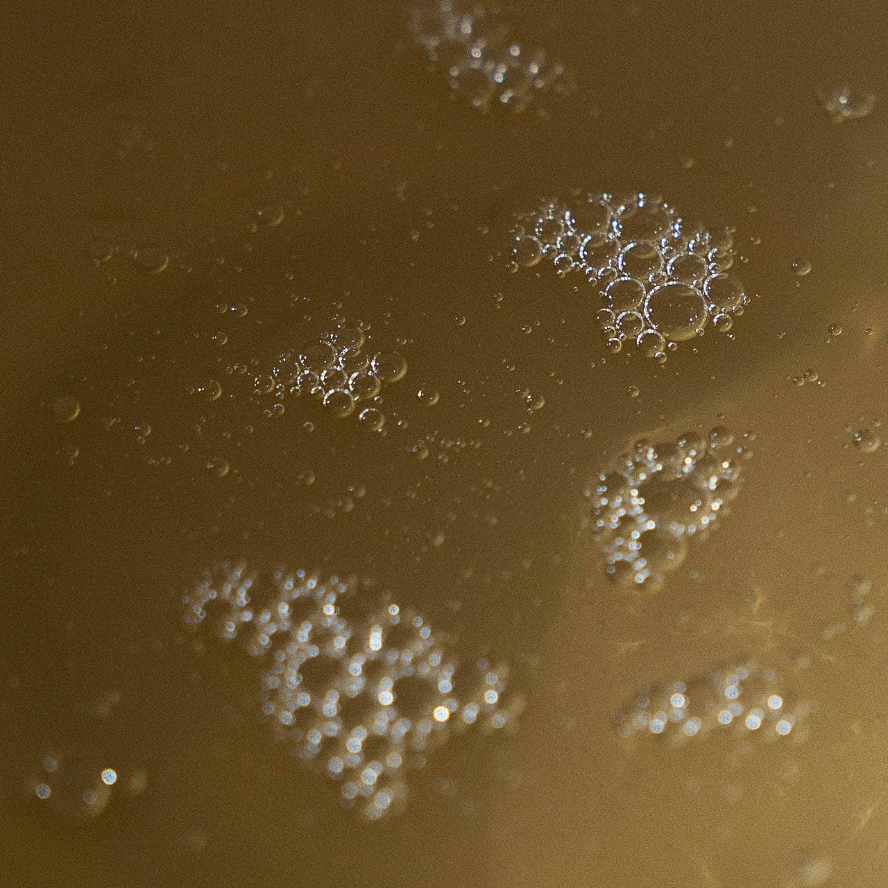 Eucalyptus Clean Hand Soap
