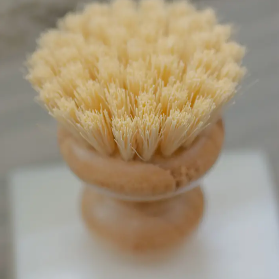 Small Dish Brush