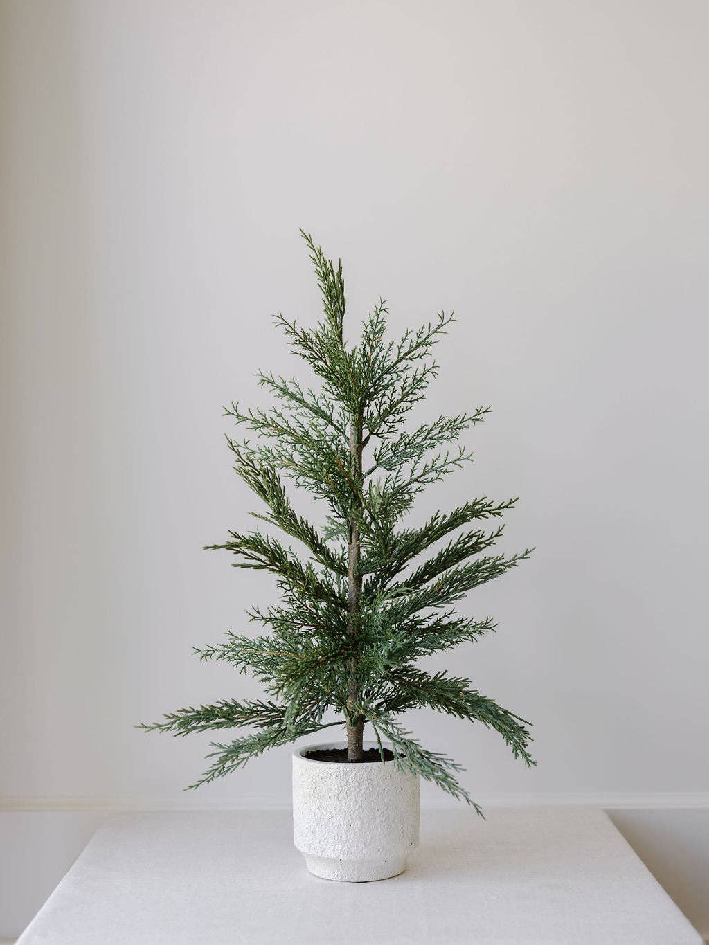 Cedar Tree with Cream Pot