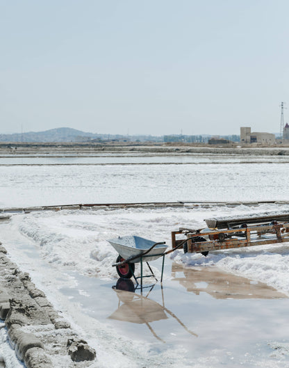 Trapani Pure Italian Fine Sea Salt