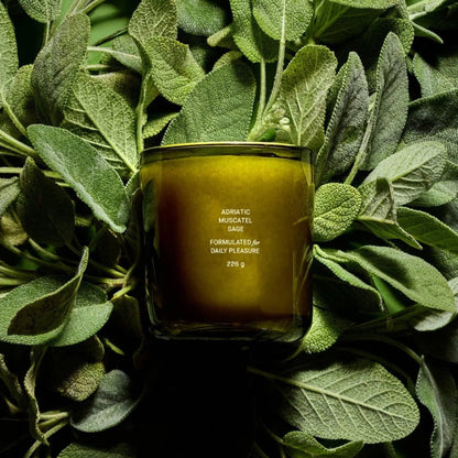 Adriatic Muscatel Sage Candle