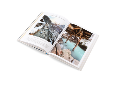 The Nature of Swimming