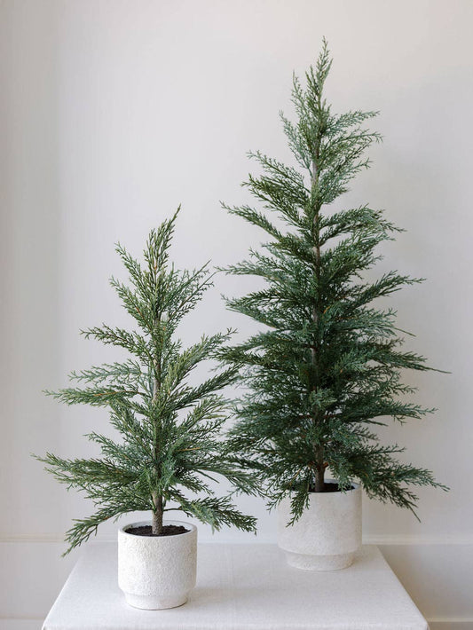 Cedar Tree with Cream Pot