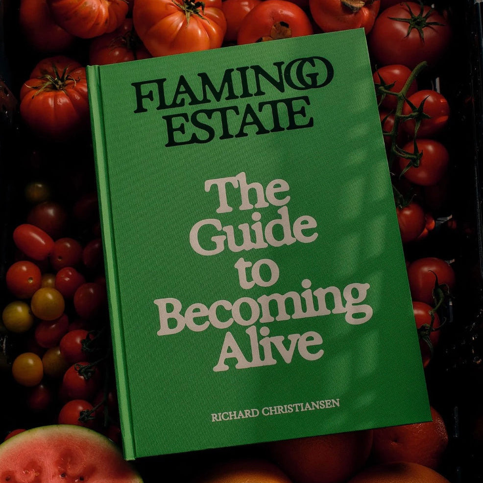 The Guide to Becoming Alive Book