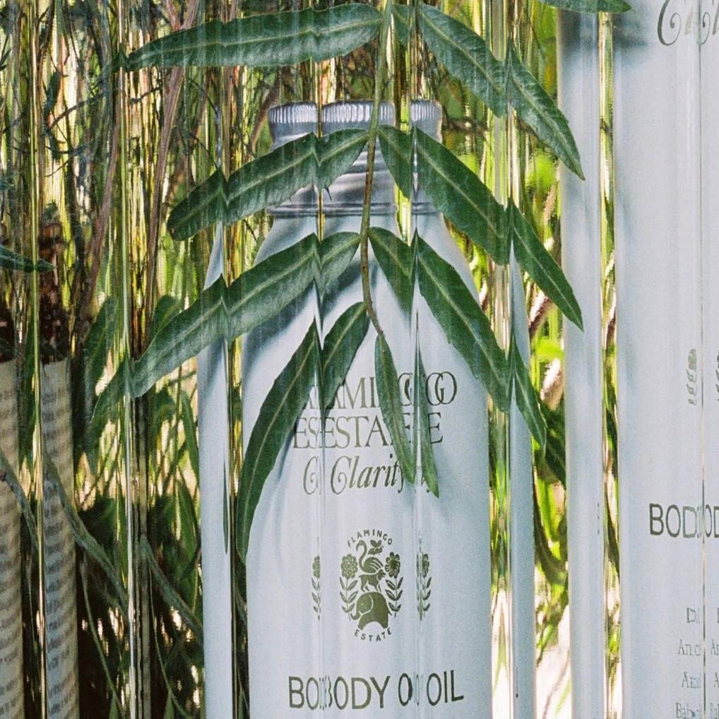 Douglas Fir & Vetiver Body Oil