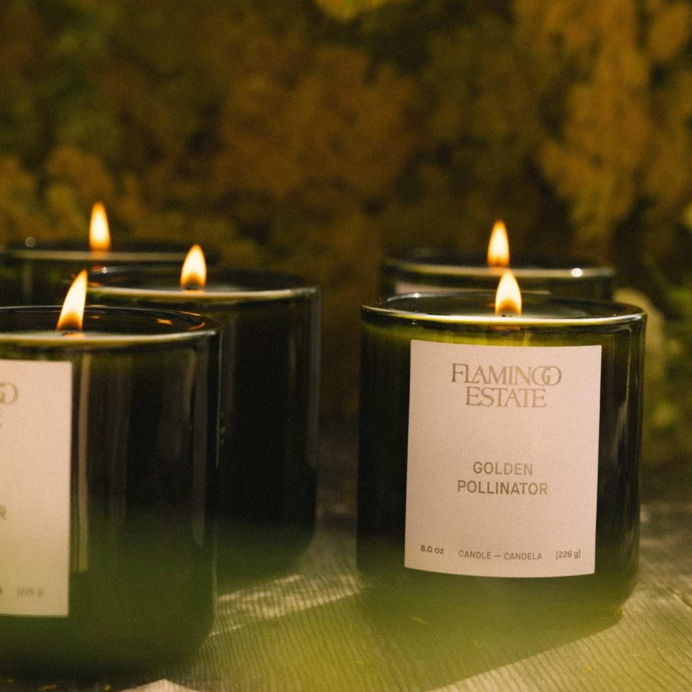 Golden Pollinator Candle