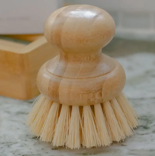 Small Dish Brush