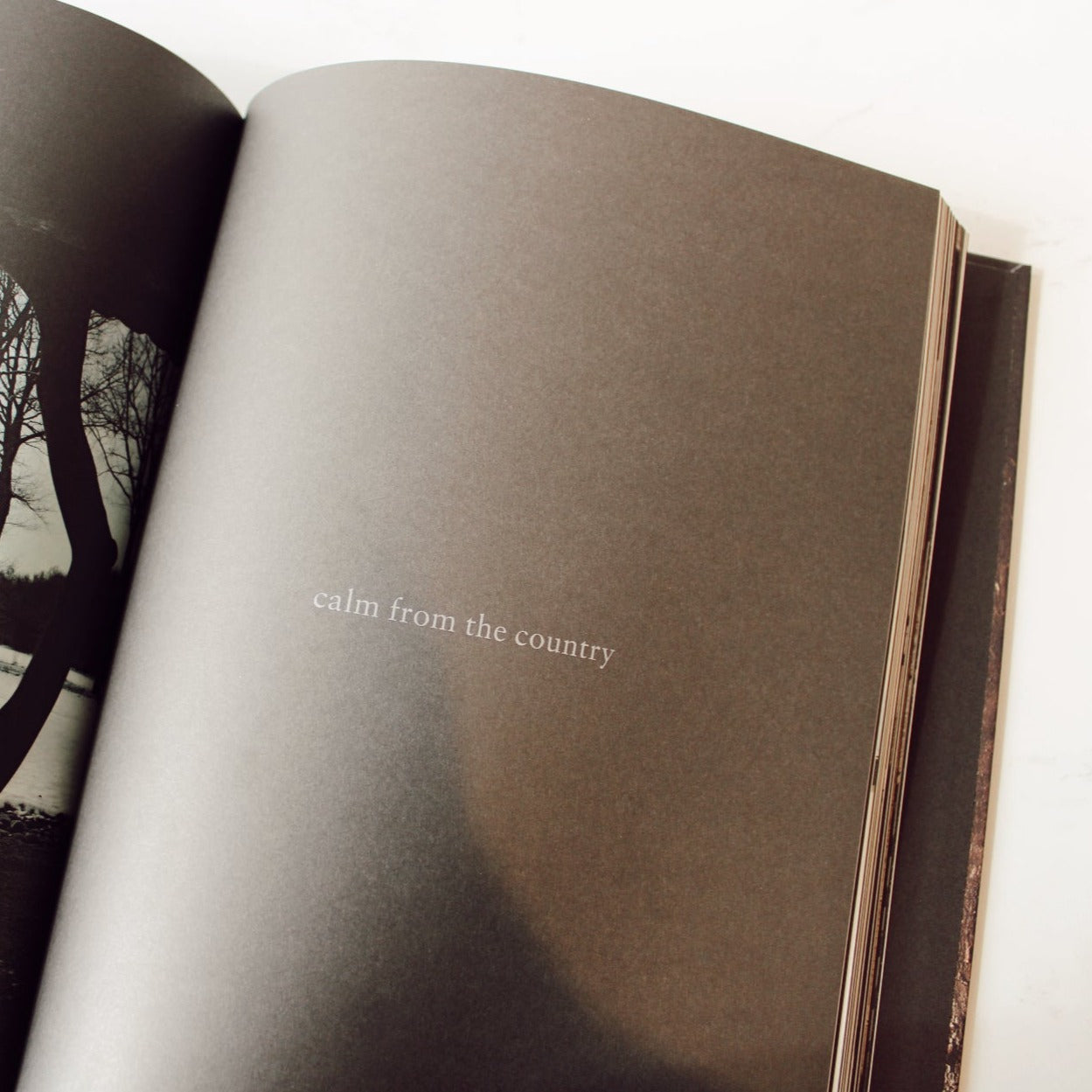 Axel Vervoordt: Wabi Inspirations Hardcover book inside page with quote