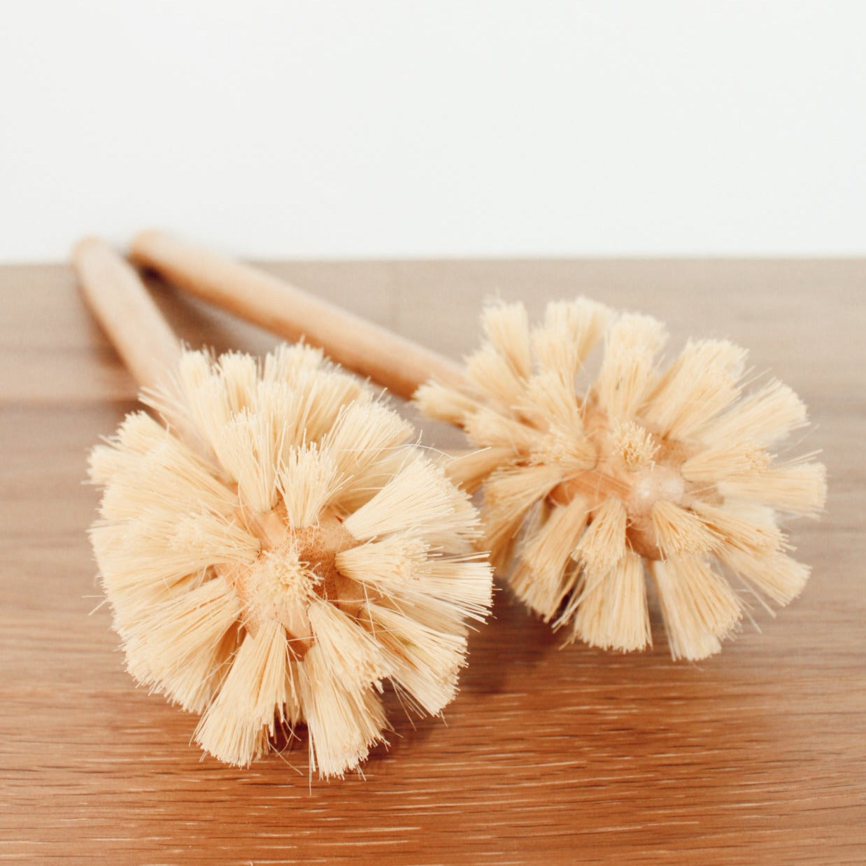 Bottle Brush Bristles pictured up close 