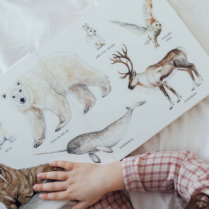 Our Big Book of Animals (Board Book)